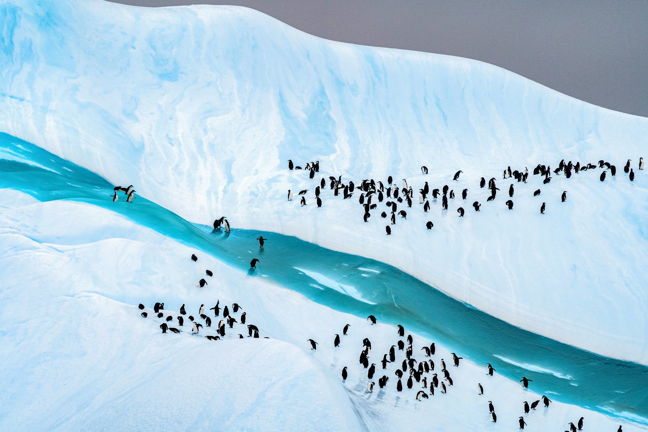 Cape Lookout en Antarctique